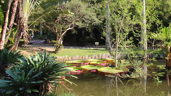 Jardim Botânico e Planetário